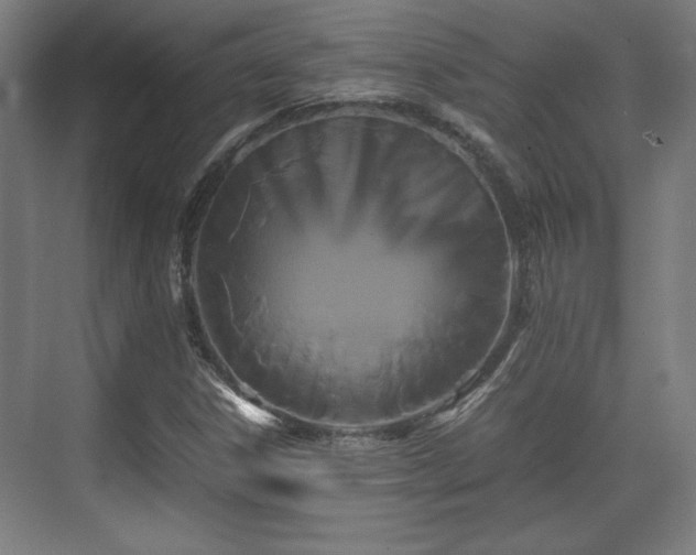X0000071901306200607141324
