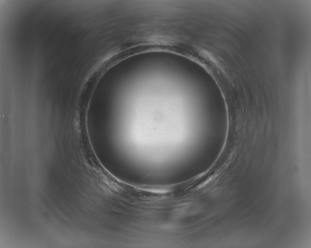 X0000071901307200607141324