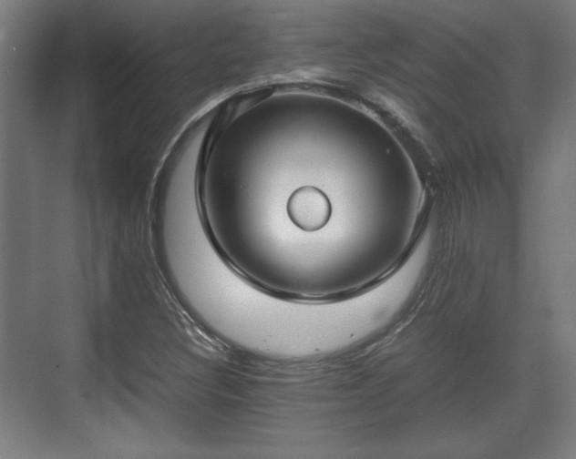 X0000071901308200607141324