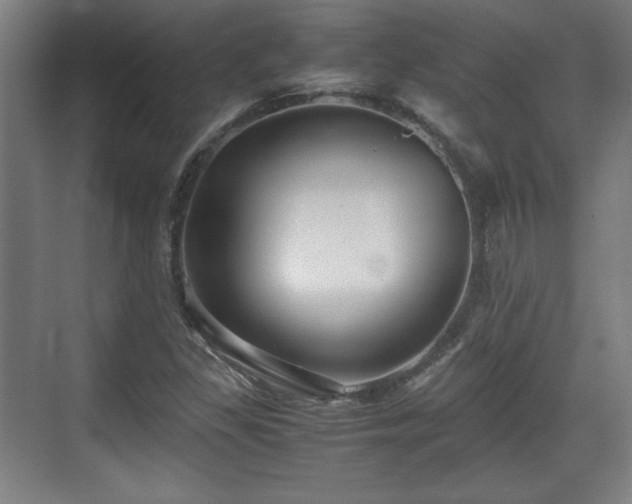 X0000071901309200607141324