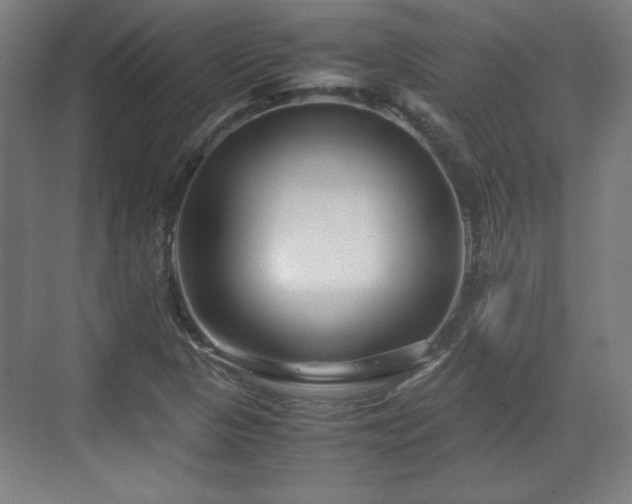 X0000071901313200607141324