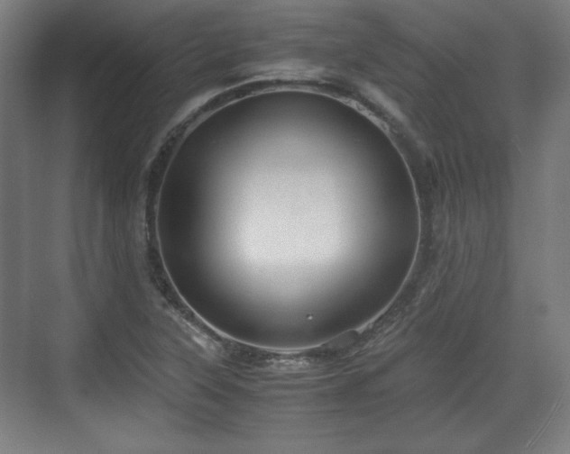 X0000071901315200607141324