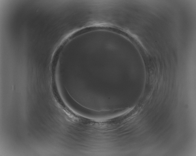 X0000071901319200607141324