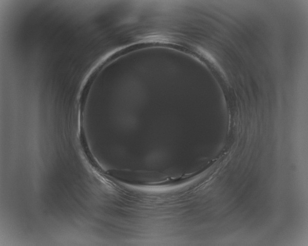 X0000071901323200607141324