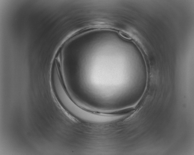 X0000071901333200607141324