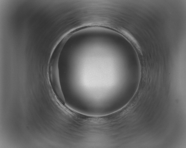 X0000071901340200607141324