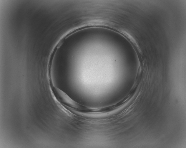 X0000071901342200607141324