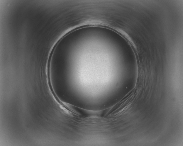 X0000071901343200607141324