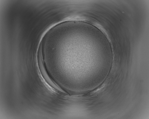 X0000071901344200607141324