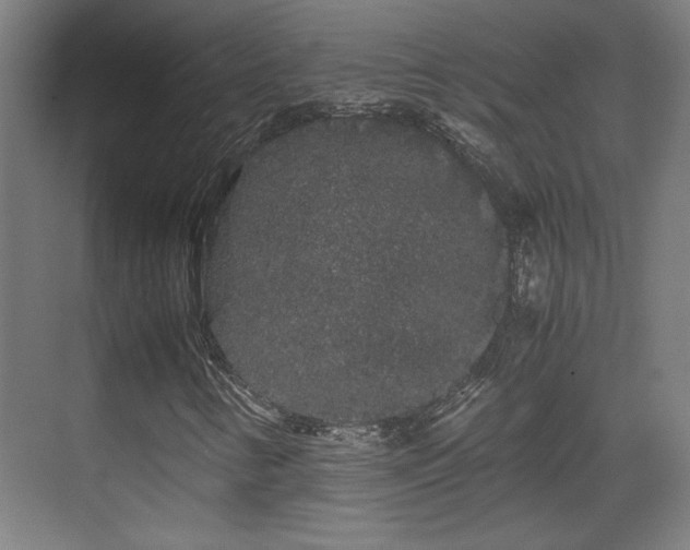 X0000071901346200607141324