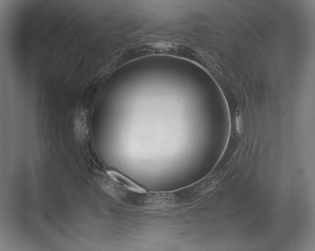 X0000071901347200607141324