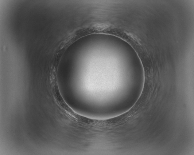 X0000071901349200607141324