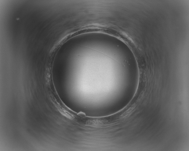 X0000071901355200607141323