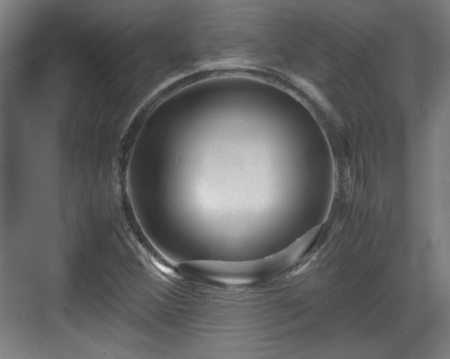 X0000071901356200607141323