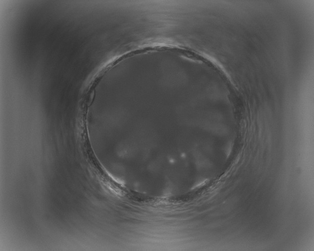 X0000071901359200607141323