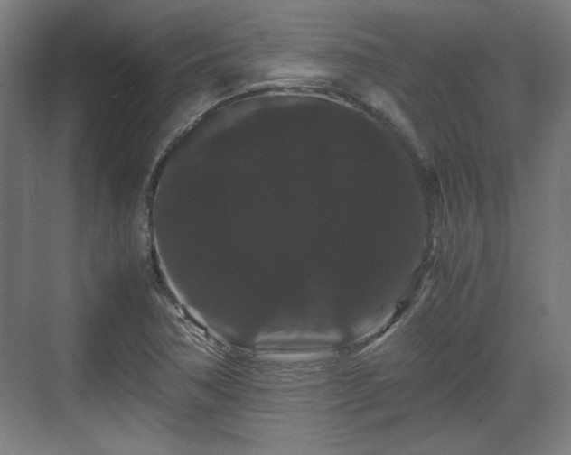 X0000071901362200607141323