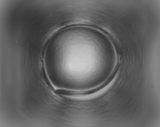 X0000071901363200607141323