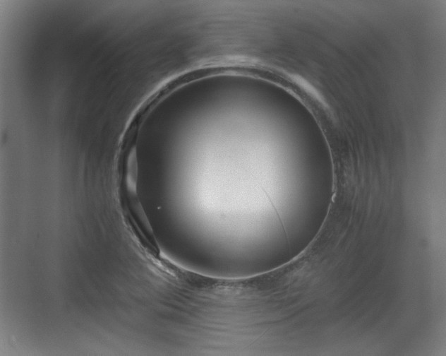 X0000071901364200607141323