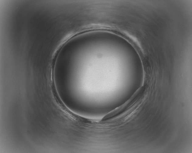 X0000071901365200607141323
