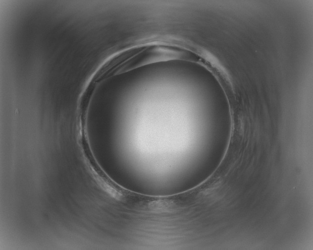 X0000071901368200607141323