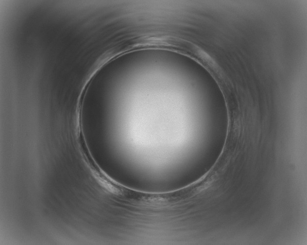 X0000071901370200607141323