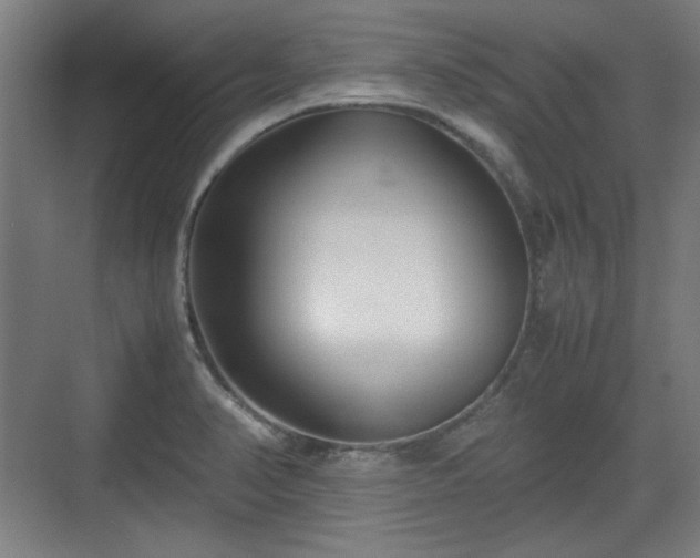 X0000071901374200607141323