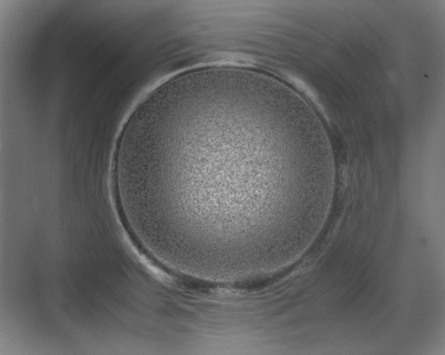 X0000071901379200607141323