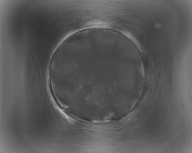 X0000071901383200607141323