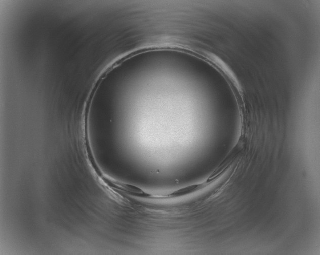 X0000071901388200607141323