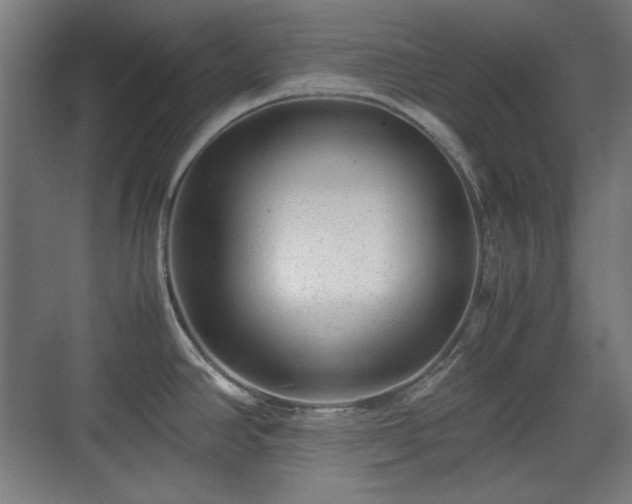 X0000071901390200607141323