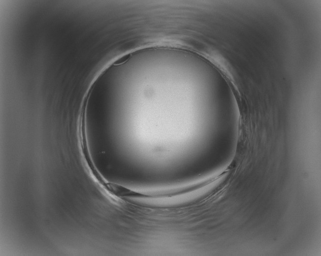 X0000071901391200607141323