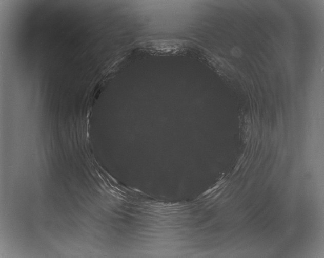X0000071901394200607141322
