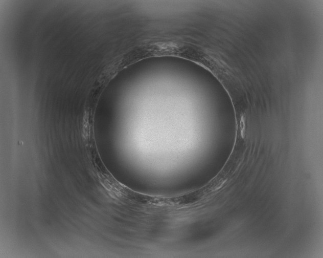 X0000071901395200607141322