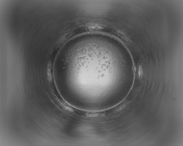 X0000071901396200607141322
