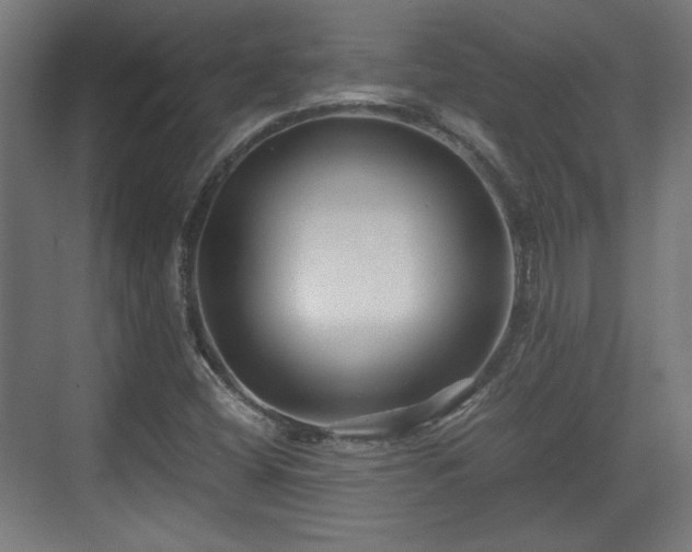 X0000071901404200607141322