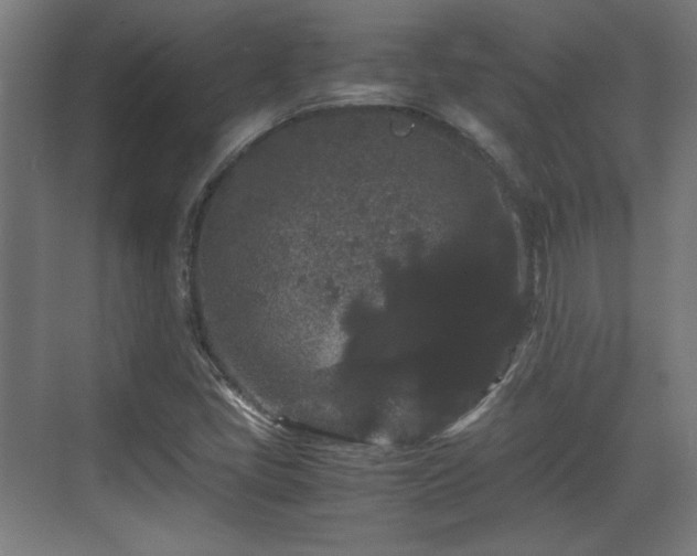 X0000071901405200607141322