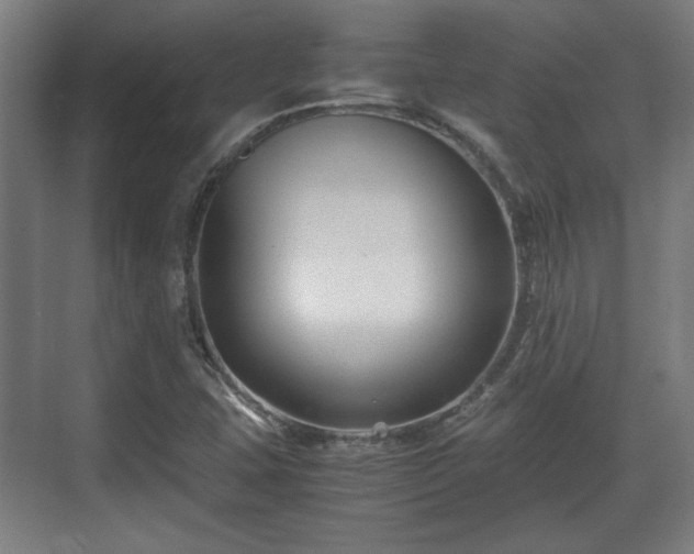 X0000071901407200607141322
