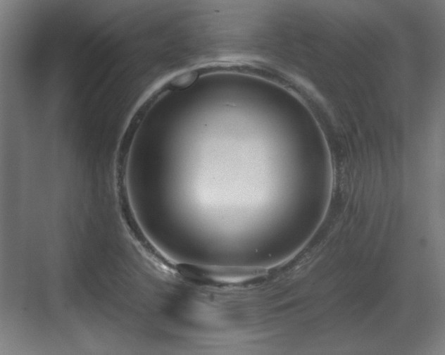 X0000071901412200607141322