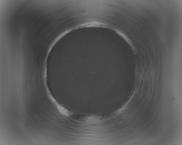X0000071901418200607141322