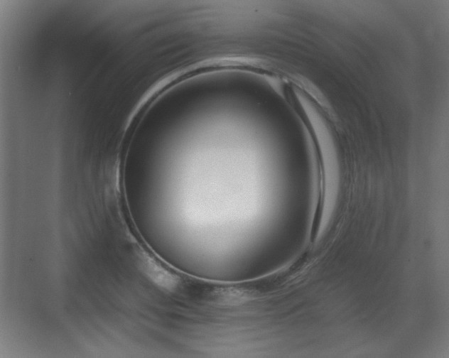 X0000071901420200607141322