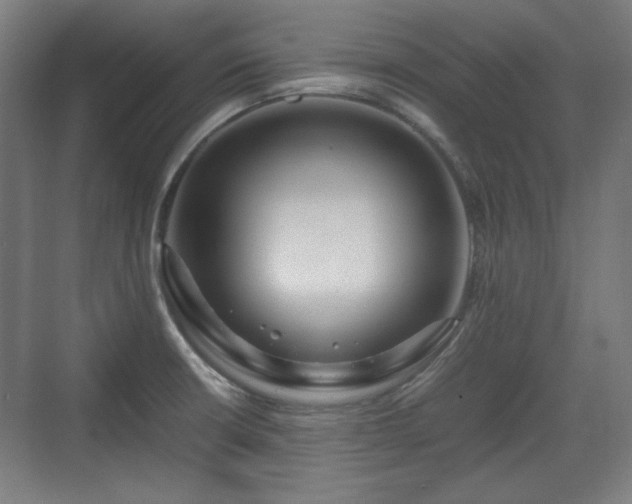 X0000071901426200607141323