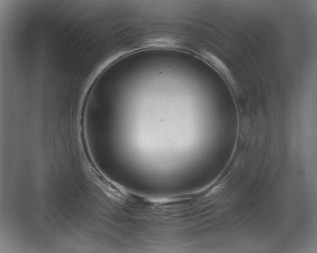 X0000071901435200607141323