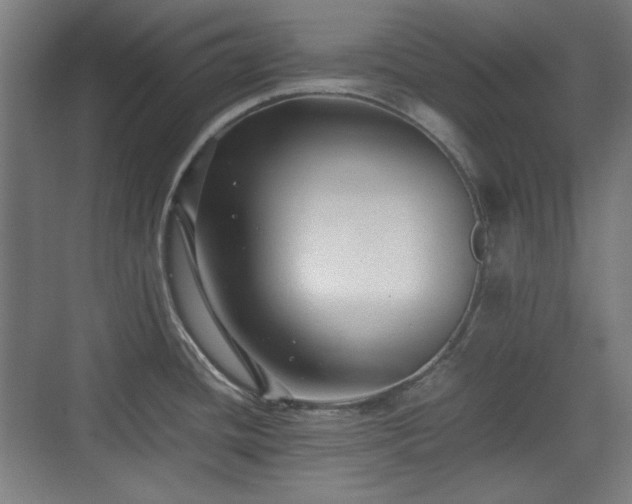 X0000071901436200607141323