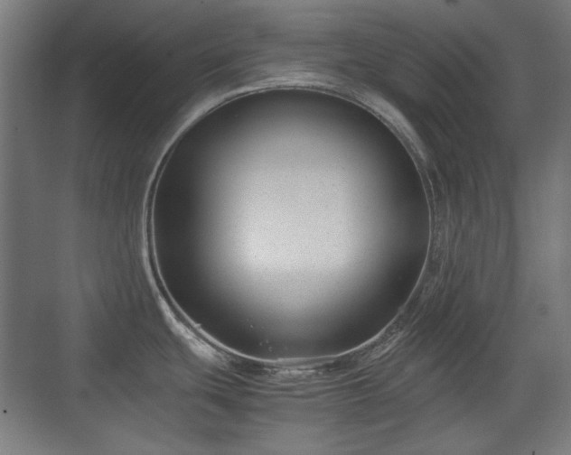 X0000071901439200607141323