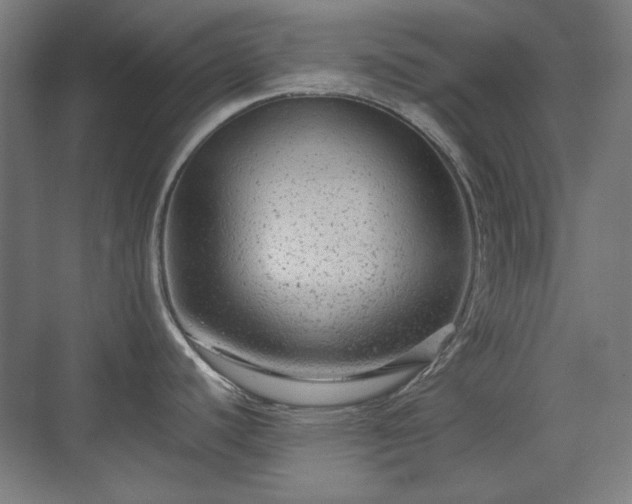 X0000071901440200607141323
