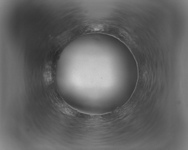 X0000071901442200607141322