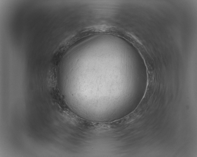 X0000071901446200607141322
