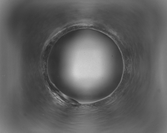 X0000071901448200607141322