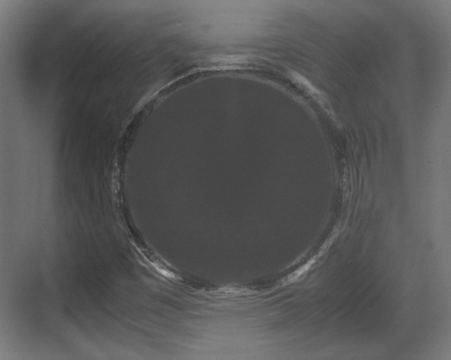 X0000071901449200607141322