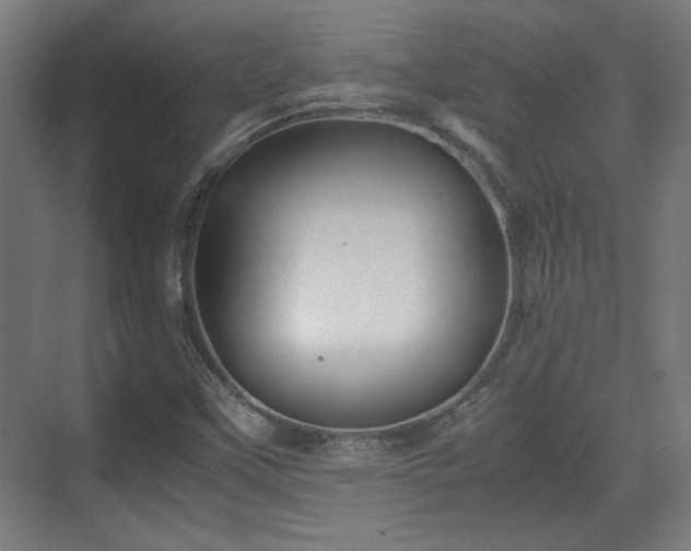 X0000071901451200607141322